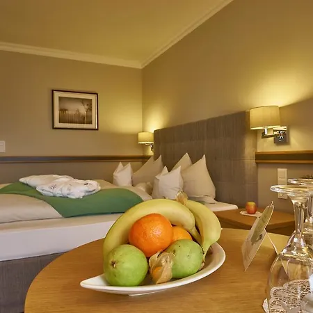 Thermenhotel Apollo 4* 바트푸징